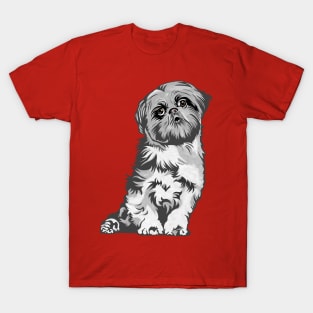 Shih Tzu Dog T-Shirt